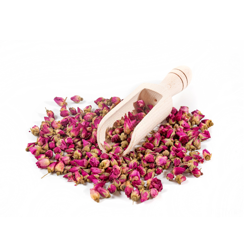غنچه گل محمدی
