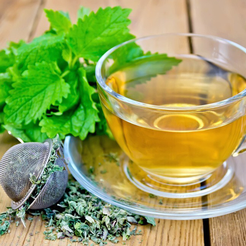 بادرنجبویه